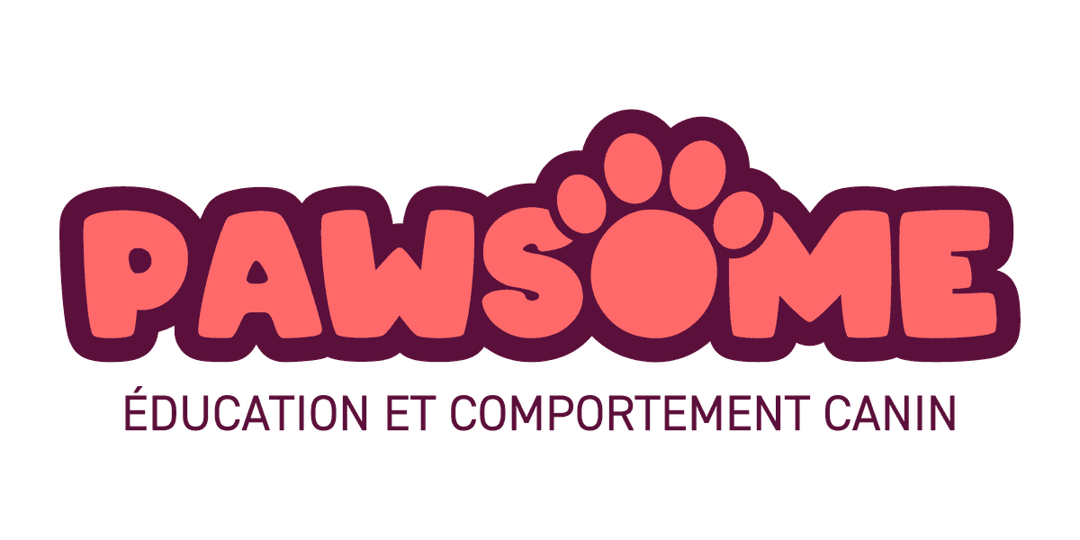 Pawsome — Éducation & comportement canin